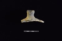 陶蓋鈕藏品圖，第1張